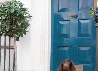 Fore Street, Hertford SG14