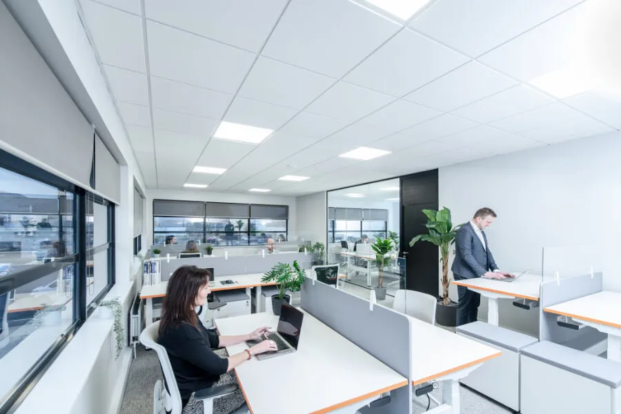 Newforge Lane, Belfast BT9, 1